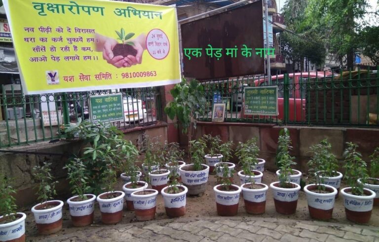 Ek Ped Maa Ke Naam