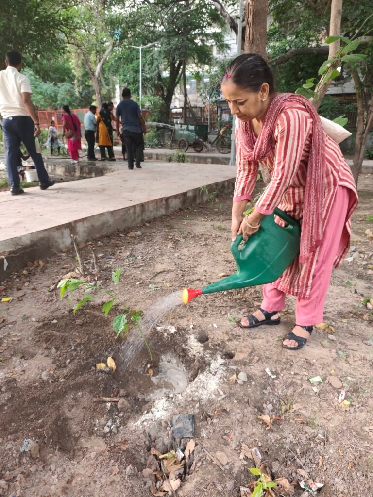 Planting Today for a Greener Tomorrow